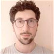 Insegnante bilingue (livello C2) offre ripetizioni individuali online per ragazzi e adulti, dalla scuola media in poi.