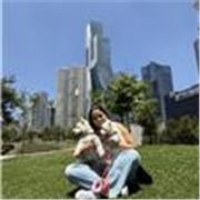 Profesora de inglés, doy clases particulares para todas las edades tanto te conversación como de gramática