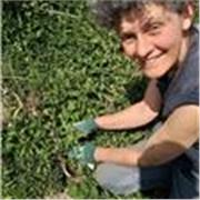 Agronoma offre lezioni private di materie scientifiche a casa o con possibilità di spostarmi 