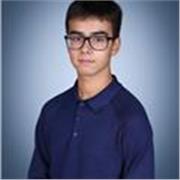 Maths and Science tutor providing lessons to children doing their GCSE's