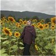 Behiye