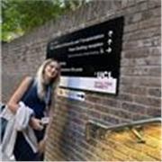I am passionate about biology and am currently doing a PhD in immunology.