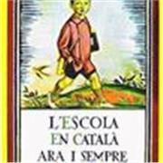 Llengua catalana i literatura. Tècniques d'estudi. Ortografia, sintaxi, morfologia i lèxic.