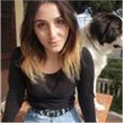 Studentessa di magistrale in Traduzione e Interpretariato offre lezioni di inglese a tutti i livelli