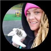 I give lessons on a 1:1 basis and we can adapt the process to suit your learning style and speed.