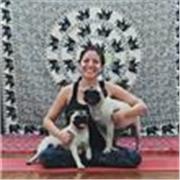 Clases de Yoga Online y Presencial multinivel