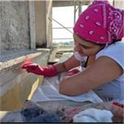 Restauratrice da10anni, insegnante di arte e immagine da4,offre lezioni di disegno,pittura,restauro,storia dell'arte 