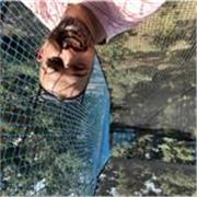 Lengua de Signos Española.
Matemáticas
Lengua castellana y literatura
Ciencias Sociales y Naturales