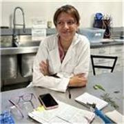 Maestra de apoyo en temas relacionados a biología, química, español y matemáticas básicas, para niños, jóvenes y adultos