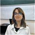 Gazi Matematik öğrencisinden ilkokul ve ortaokula online ders!