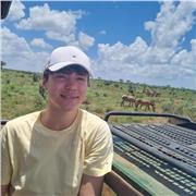 Tutor per ripetizioni di matematica, inglese e scienze per elementari, medie, 1° e 2° superiore