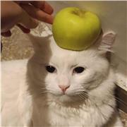 If you want help in learning character designs and illustrations i can help you with that