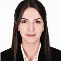 Türkçe Öğrenimine Eğlenceli Yaklaşım: Günlük Konuşma ve Dilbilgisi Destekli Online Dersler