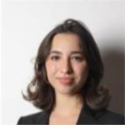 Englisch, Deutsch, Mathematik, Spanisch (Anfänger) - tendenziell für die typische Schulfächer offen und motiviert.