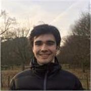 Erfahrener Mathelehrer für alle Altersgruppen