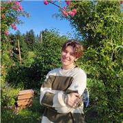 Insegnante per scrittura di temi e saggi