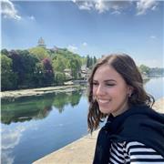 Ripetizioni di latino, italiano e storia dell'arte. In presenza e online