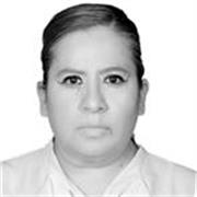 Maestro de apoyo general clases online turno vespertino