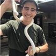 English Tutor for all ages and levels