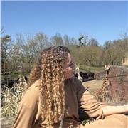 Allgemein arabisch Wort und Schrift : sehr gute Deutsch und Arabisch Kenntnisse in Wort und Schrift