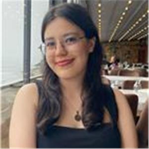 Arzu Fatma Güldemir