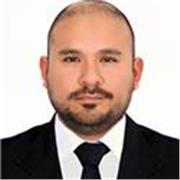 Profesional en enseñanza del idioma español