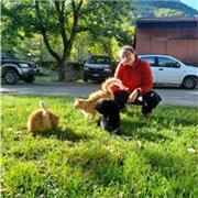 Studentessa di scienze ambientali ed ex studentessa del liceo linguistico, impartisce ripetizioni di inglese, francese, spagnolo ed aiuto compiti. ( Tranne matematica e fisica)