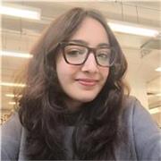 Apoyo escolar - Inglés (nivel primario y secundario)