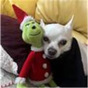 Ripetizioni e aiuto compiti a bambini e ragazzi di scuole medie ed alementari