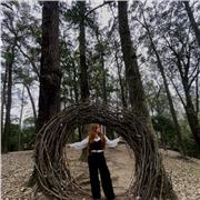 Aulas de biologia on-line, metodologia inovadora, resultados positivos
