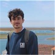 Profesor de inglés dedicado y resolutivo para todas las edades