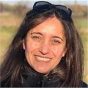 Español para extranjeros y Filosofía online