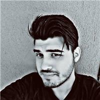 Studente universitario fornisce ripetizioni / insegnamenti di matematica/informatica/inglese