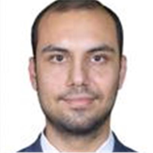Math Tutor Who Can Teach Math From Grade 1 To Grade 12. Syed Hassan Ali