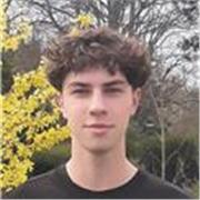 Online Mathe-Nachhilfe von einem Bauingenieurstudenten mit Erfahrung