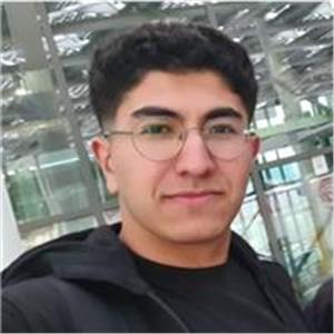 Ahmet Zakir Ok