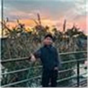 Profesor de Español para extranjeros, especializado en todas las edades y niveles con un enfoque dinámico y profesional