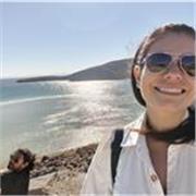 Maestro de clases particulares de diferentes niveles