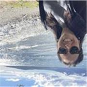 Profesora de matemáticas con gran experiencia