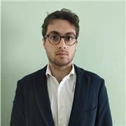 Insegnante bi-laureato con esperienza offre lezioni on-line nel suo campo di studi