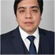 Estudiante de Ingeniería, con conocimientos de literatura y lingüística aplicada