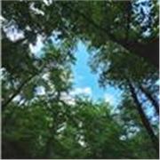 Soutien scolaire complet – Français et autres matières