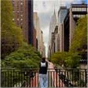 Hai bisogno di ripetizioni o vuoi imparare qualcosa di nuovo? Eccomi qui a tua disposizione, contattami!