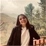 Laureata in ingegneria offre ripetizioni di matematica, fisica e chimica