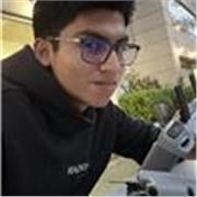 Ingeniero en Software para enseñanza a nivel secundaria y medio superior