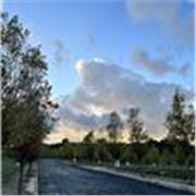 Profesora nativa de Español: enseñanza para extranjeros