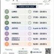 Clases Personalizadas de Humanidades en Oviedo — Presenciales y Online