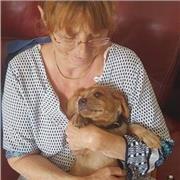 cours de français auprès d'élèves jusqu'en terminale et études supérieures