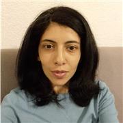 Clases en línea para niveles primaria, secundaria y preparatoria