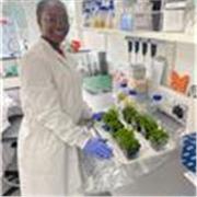 Tolerant, hard-working individual aimed at helping Biology  A'level students.